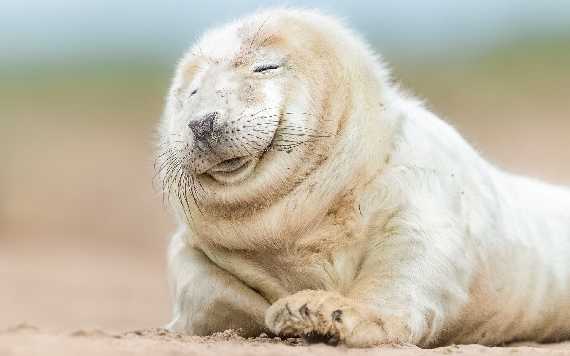 爱游戏综合娱乐-【限时投球规则】投手如何利用时间压力取胜？，投球时的规则