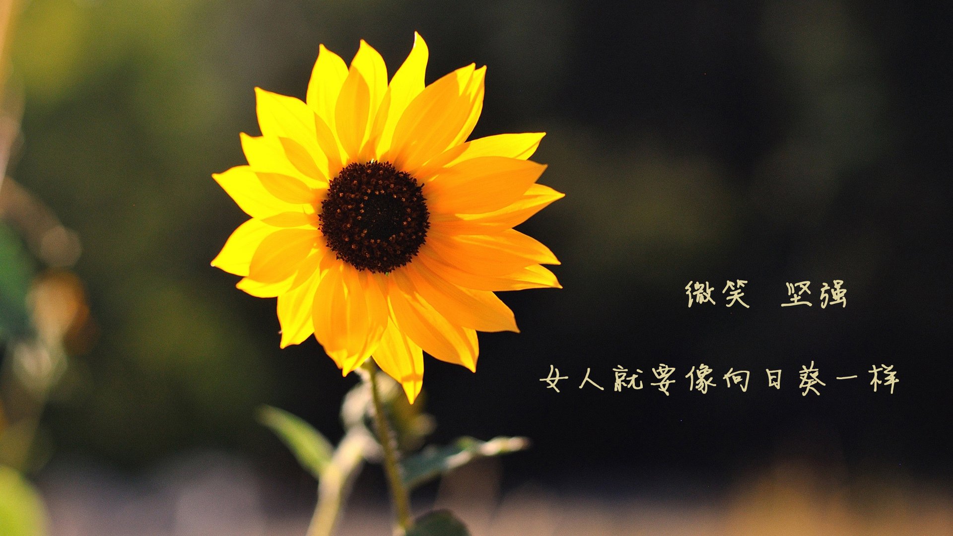 爱游戏官方-【逆境中的智慧】逆转赛中的战术布局分析，逆转比赛