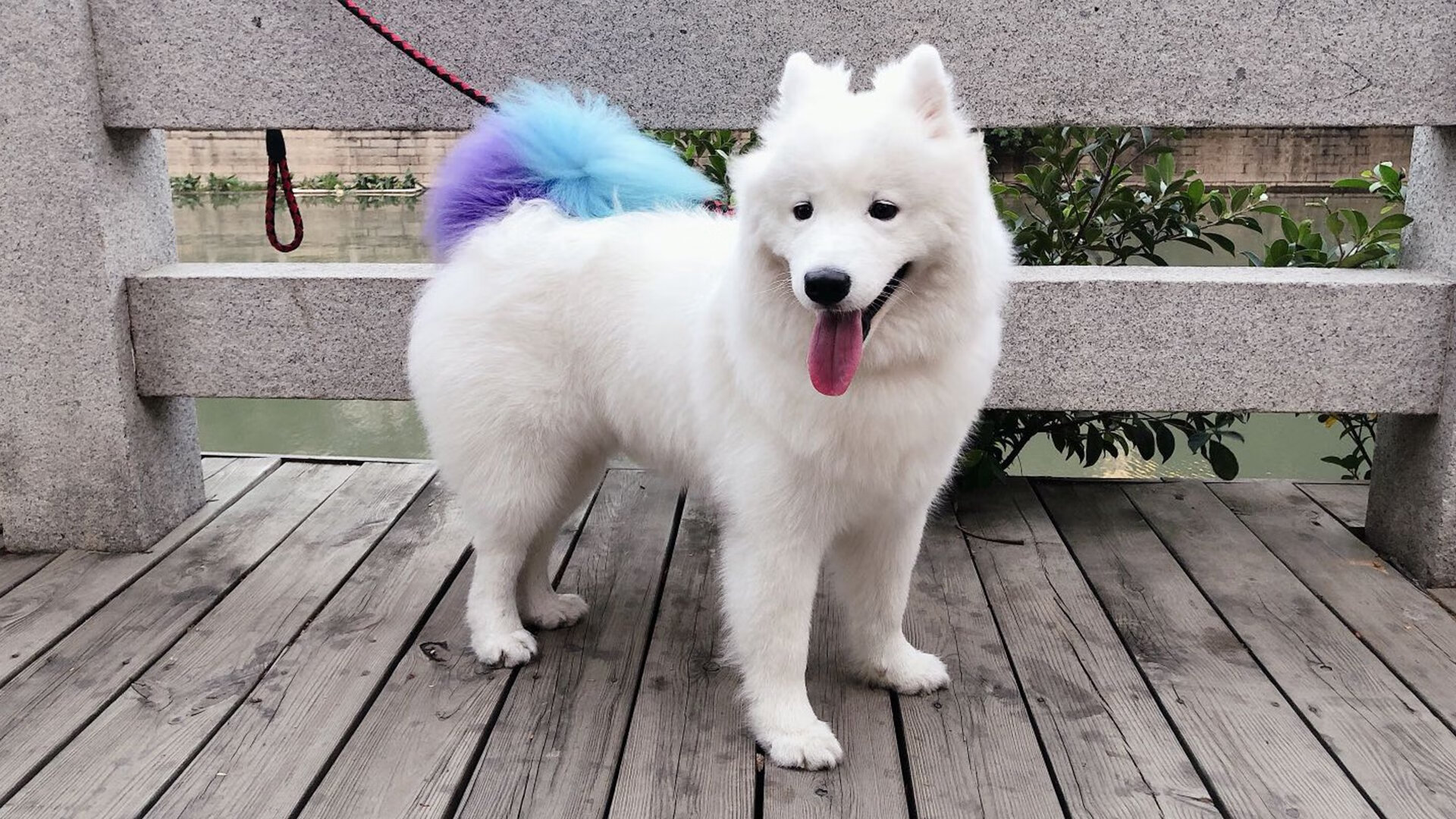 爱游戏-中国青少年足球裁判员上岗率逐年提升，规范化水平不断增强，足球裁判员等级考试