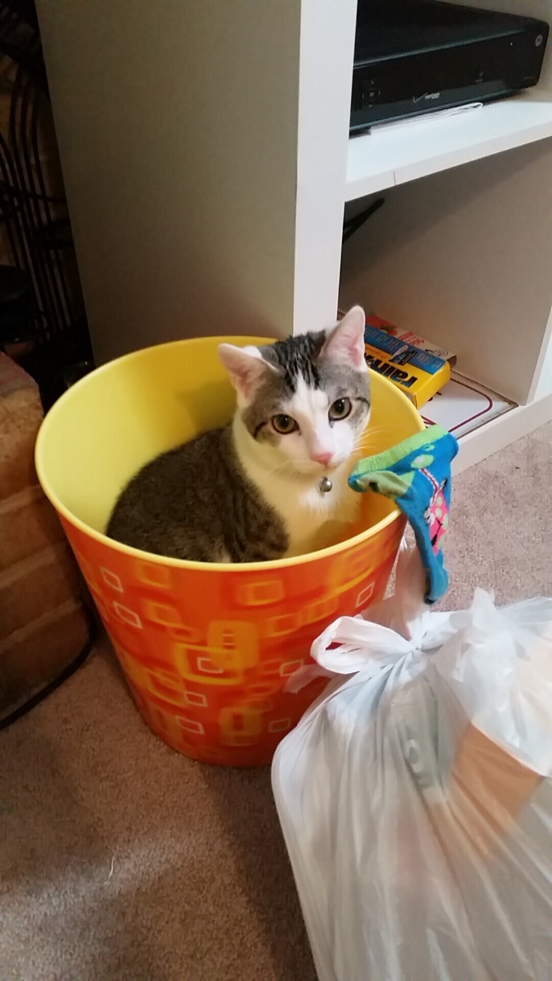 爱游戏体育-未来联盟：跨界合作推动篮球走向全球，nba未来联盟第一人