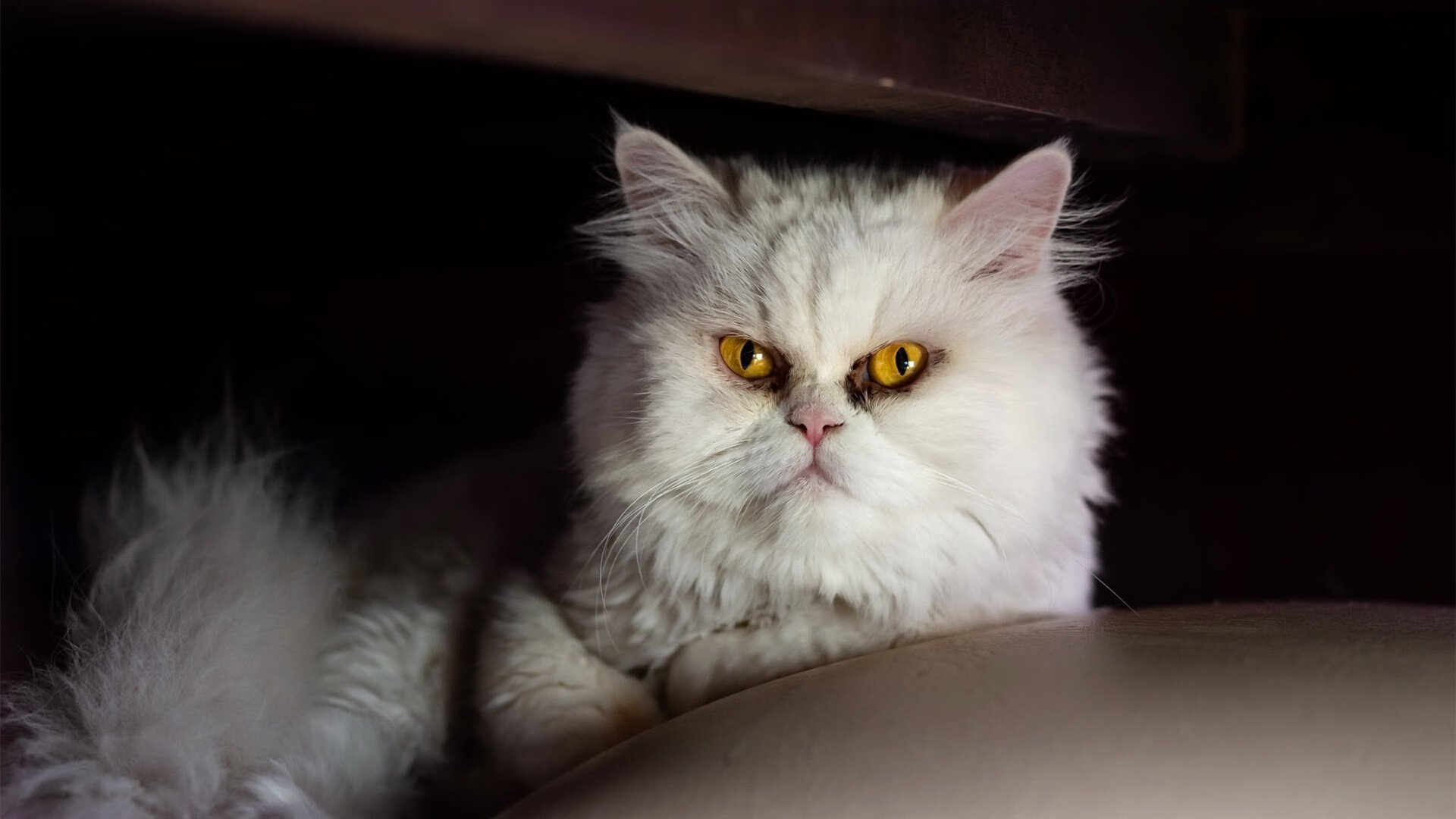 爱游戏在线娱乐官网-特色篮球旅游基地成为文化和体育融合的新亮点，篮球文化展厅