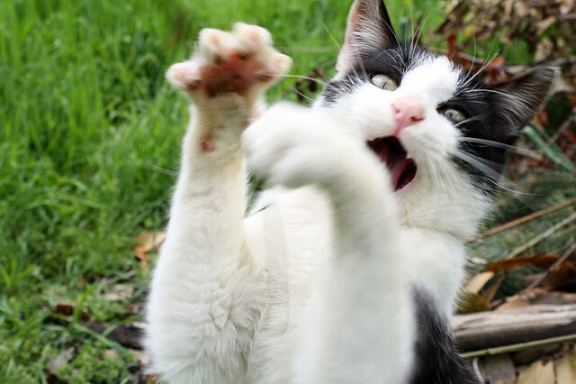 爱游戏app-赛后专访：李明感谢队友努力，全队目标冠军！，李明足球个人资料