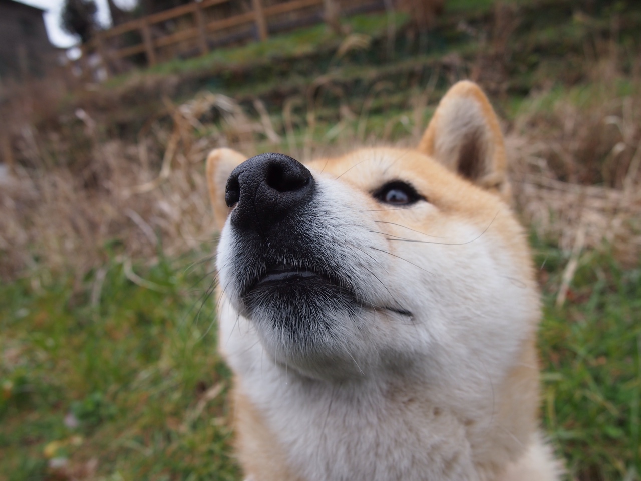 AYX体育官网-帕尔梅拉斯防守端表现提升，帕尔梅拉斯ds