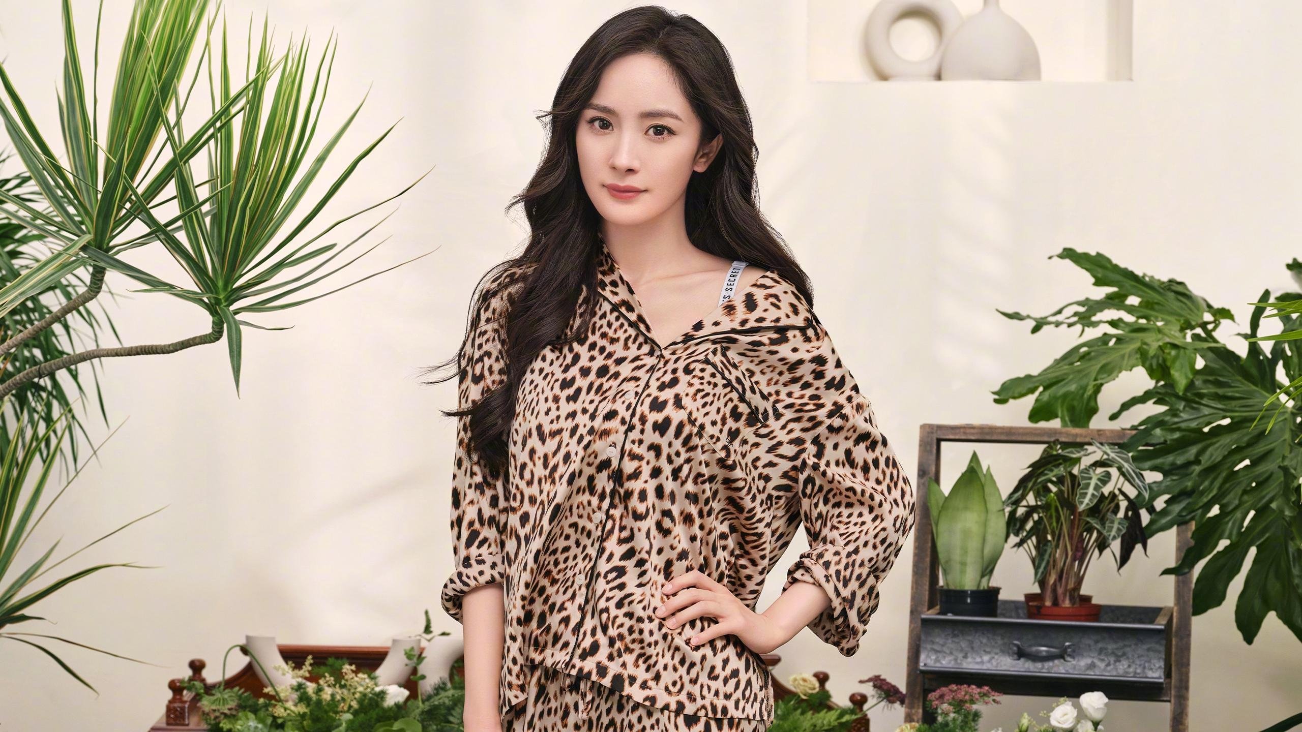 深圳马可波罗主场表现优异,深圳马可波罗主场在哪