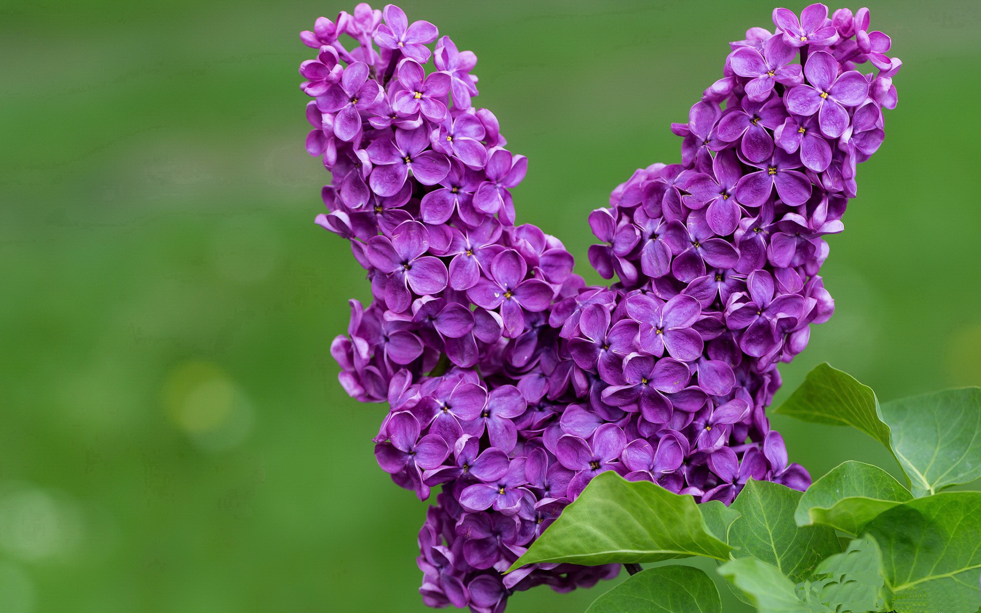 爱游戏app下载-突尼斯球队主场优势明显，突尼斯在哪里啊_