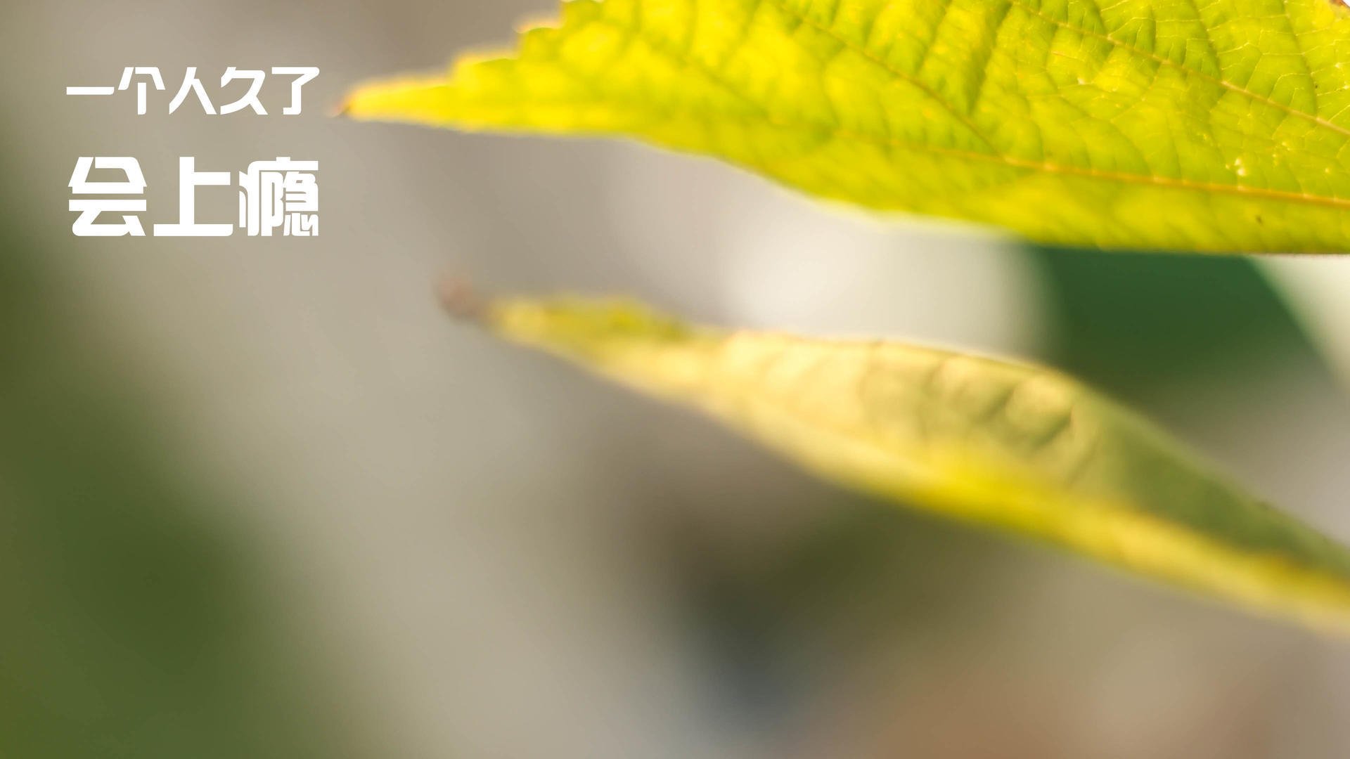 爱游戏体育app-红蓝双方大战引人关注，比赛结果悬念迭起，红蓝大战规则