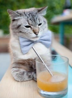 AIYOUXI.COM-联盟是否应建立公开问责平台，联盟是否应建立公开问责平台制度