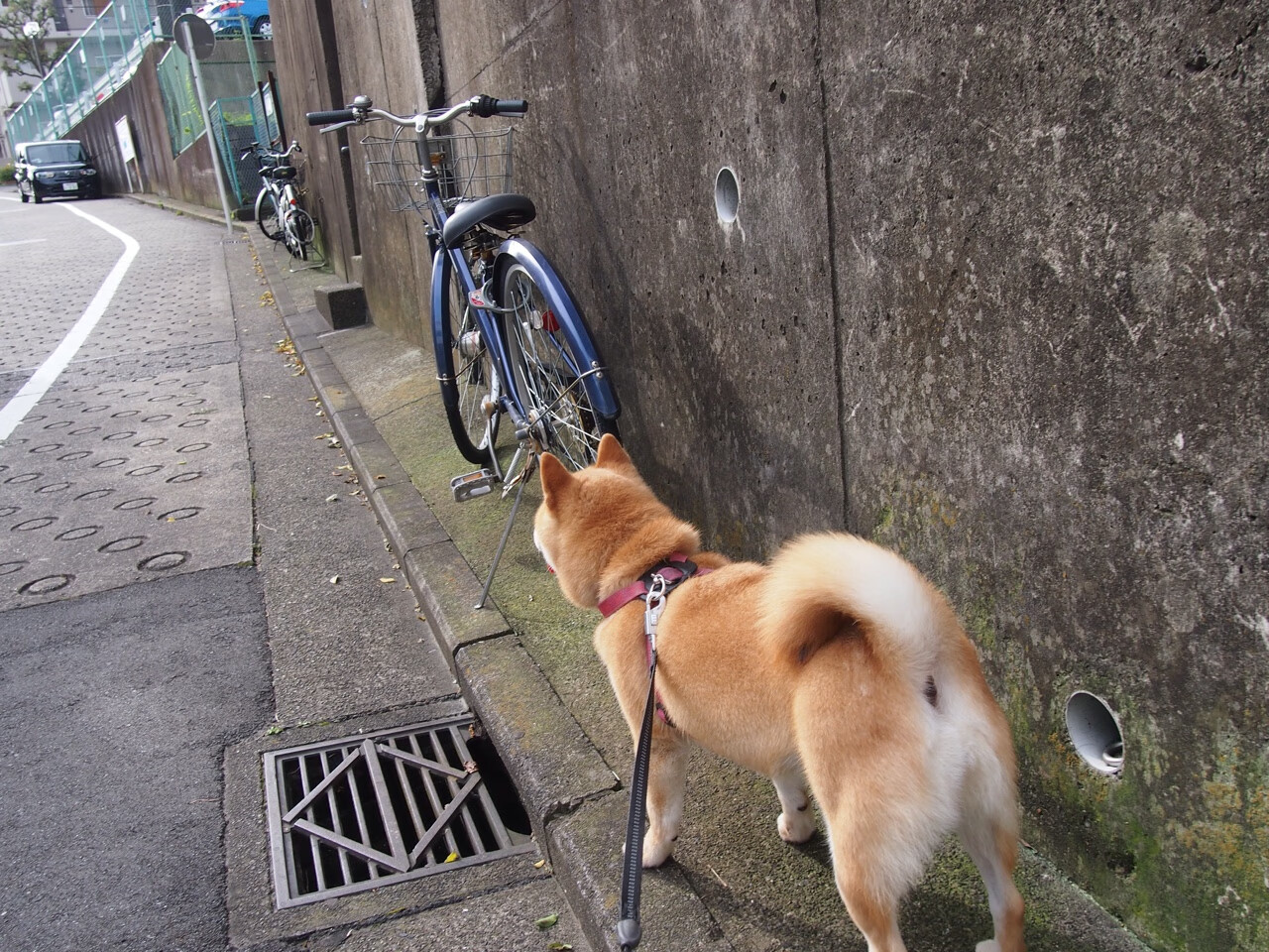 爱游戏体育APP下载-足球比赛中哪支球队处于领先地位？，足球哪个比赛最重要