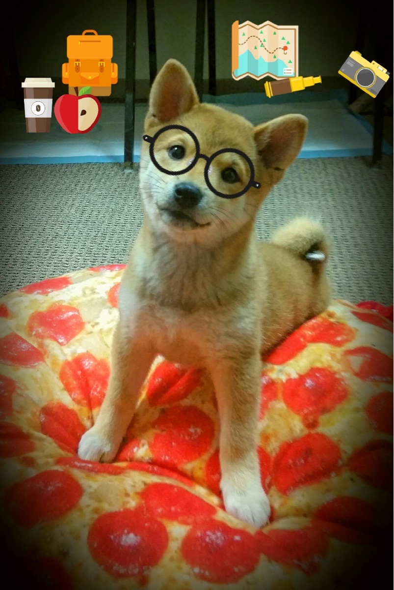 爱游戏娱乐网址-青少年足球赛事规模扩大，人才辈出，2021年有哪些青少年足球比赛