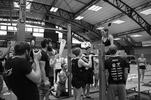 爱游戏平台-“2025世界游泳锦标赛：水上芭蕾精彩纷呈，艺术之美与竞技并行”