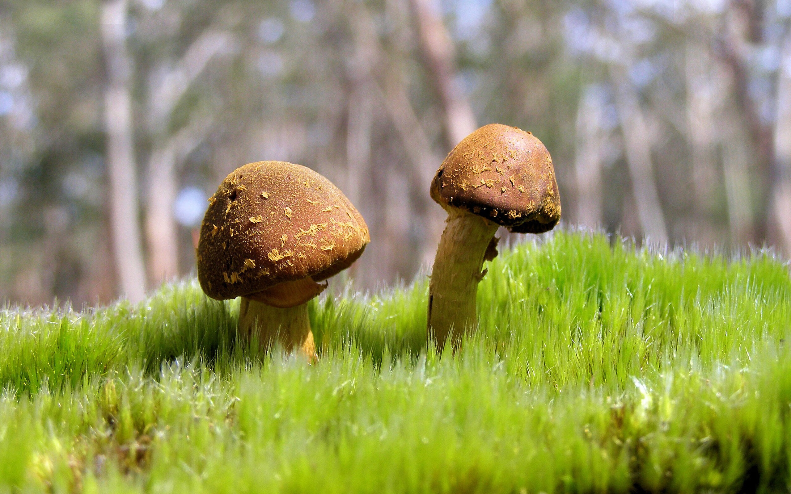 AYX SPORTS-五大联赛是否提倡中前场球员持球强度训练应对逼抢，足球中场前锋