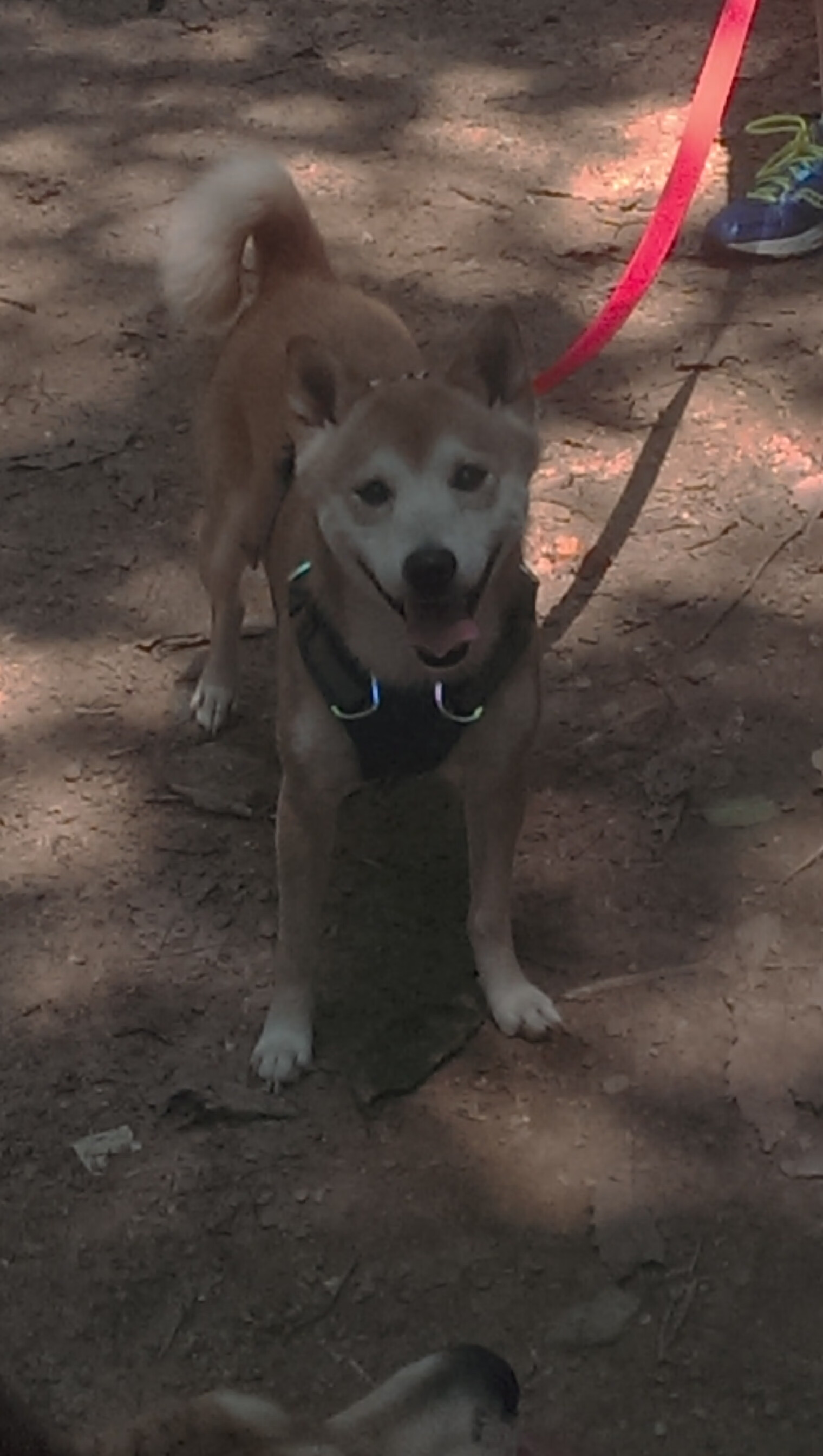 世界杯热血夜:精彩瞬间引爆全场!,世界杯热身赛程