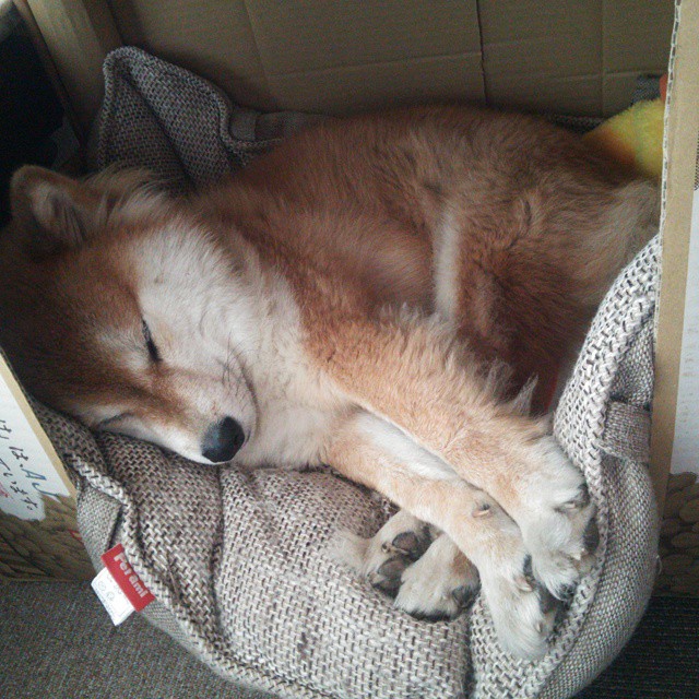 AYX GAMING-中国足球国家队备战亚洲杯冲刺阶段，中国足球队冲出了亚洲