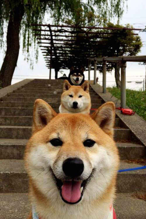 AYX SPORTS-亚洲冠军联赛中，韩国和中国球队展现青春活力，期待突破，亚洲杯中国与韩国比赛结果