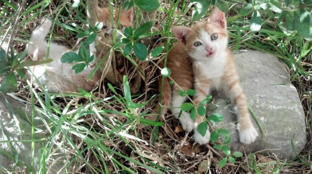 爱游戏电竞官网-国家队重点关注球员伤病管理制定长期康复训练方案，球员伤病工资怎么算