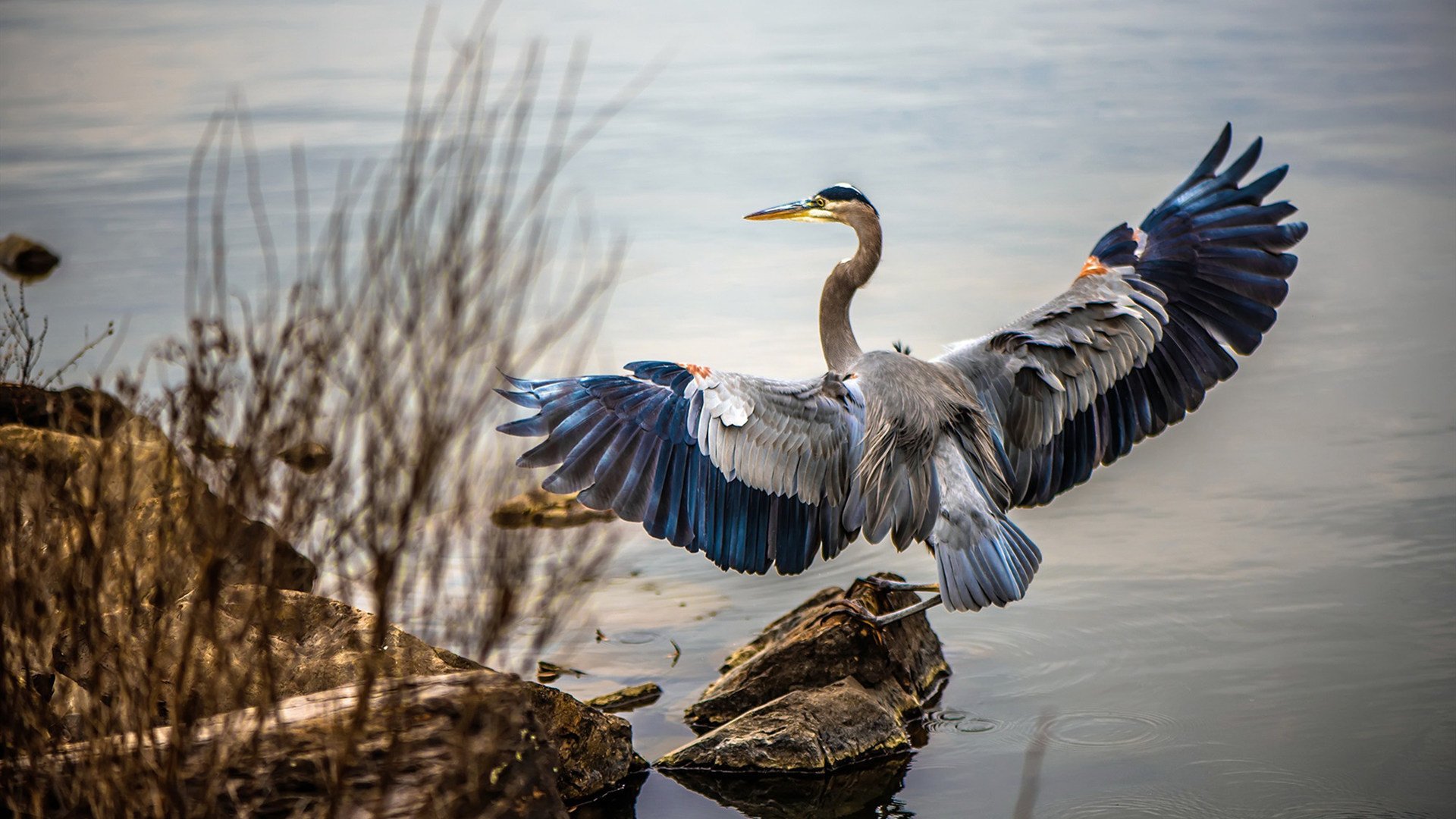 爱游戏娱乐平台-基：全黑队后防线的“防守核心”，他是球队的守护神